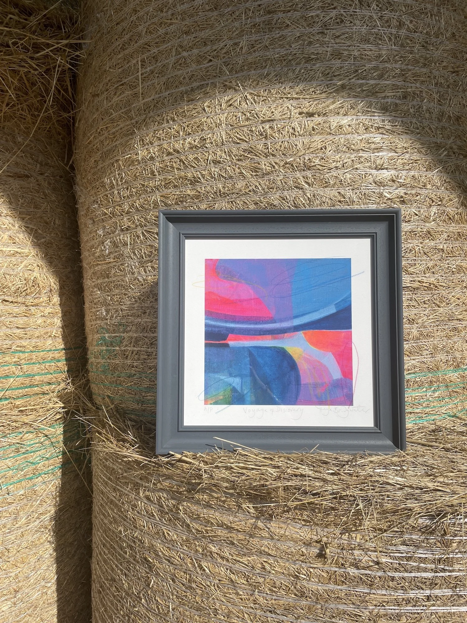 Print “The Voyage of Discovery” designed to sit beautifully within a modern home