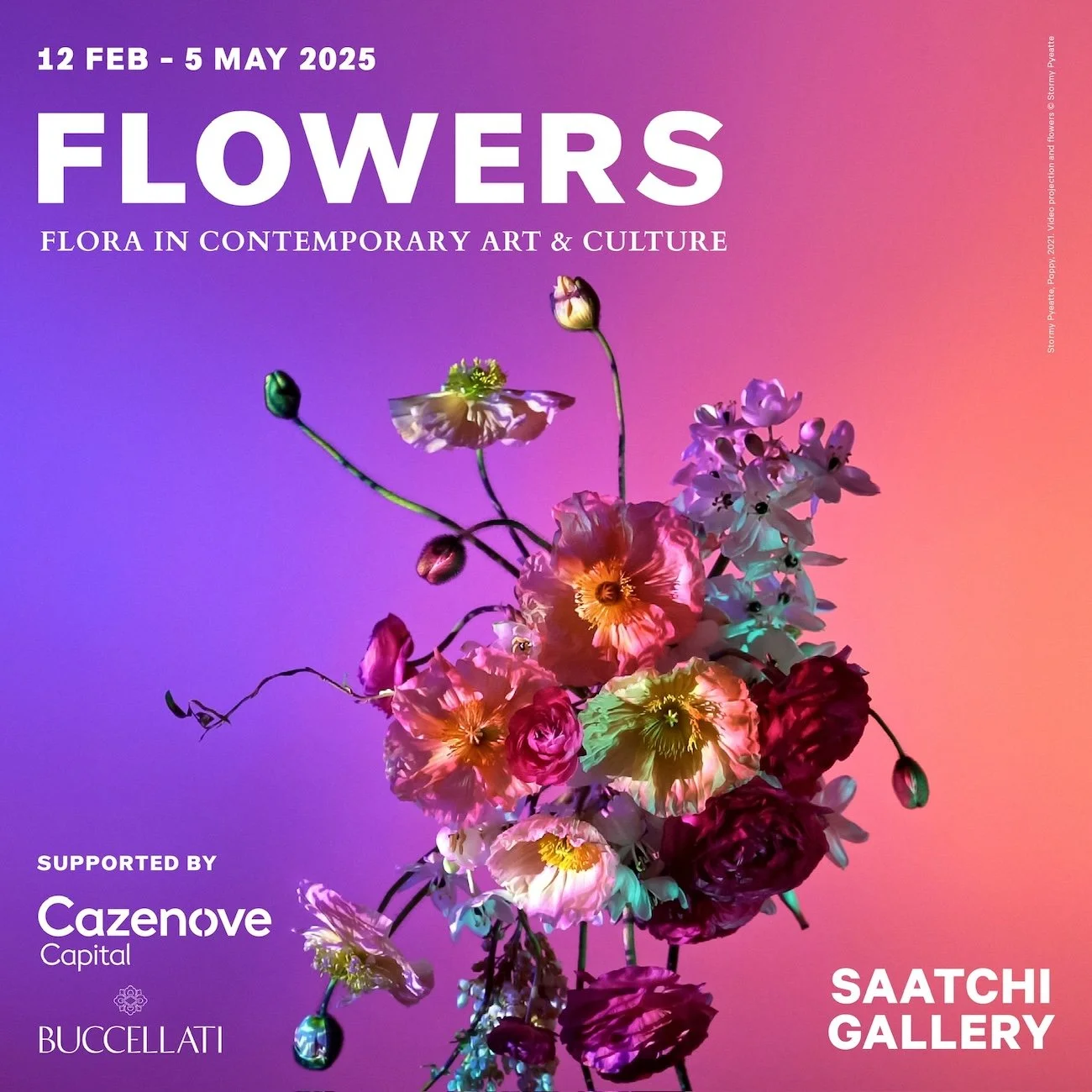 Faye Bridgwater's flowers exhibition at the Saatchi Gallery