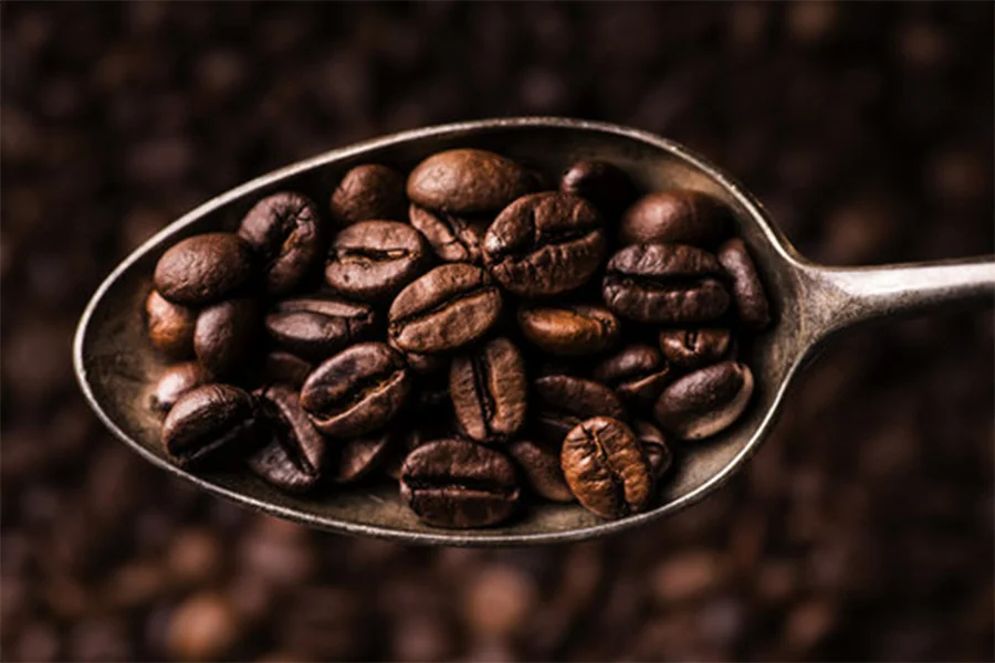 Top-dog-coffee-bar-coffee-beans-on-spoon.jpg