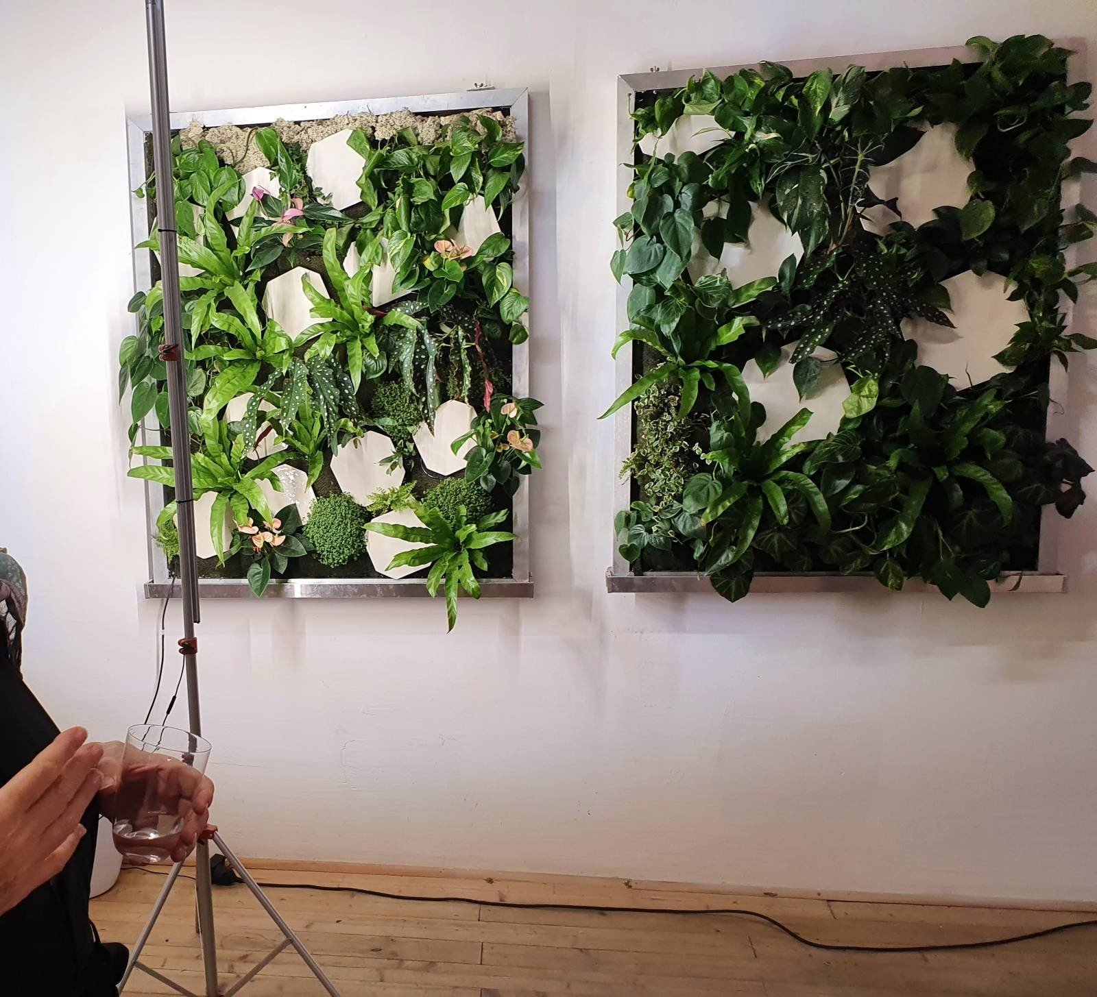 Miki Martinek in front of her and Sebastian Hipold´s plant picture "Praterstern, Merry go round" 