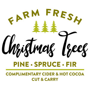 #CH6 Farm Fresh Christmas Trees