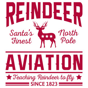 #CH31 Reindeer Aviation 