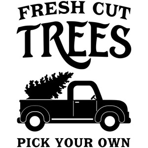 #CH46 Fresh Cut Trees Pick Your Own