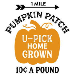 #F31 U Pick Pumpkin Patch
