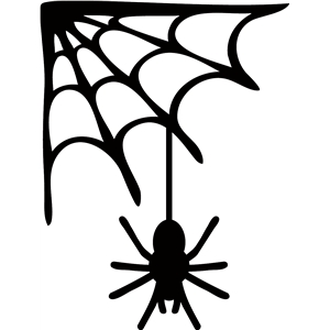 H46 Spider Web