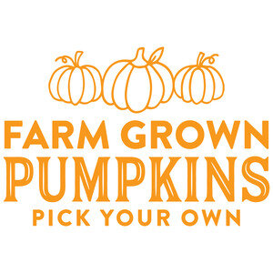 NEW #25 Farm Grown Pumpkins Pick Your Own