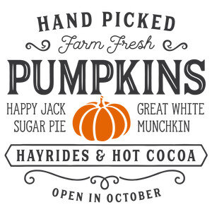 NEW #31 Hand Picked Farm Fresh Pumpkins