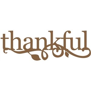 NEW #45 Thankful with Vine