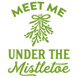 NEW #62 Meet Me Under The Mistletoe