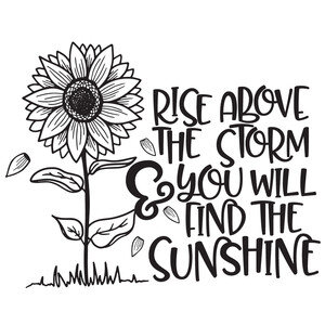 NEW #22 Rise Above The Storm &amp; You Will Find The Sunshine