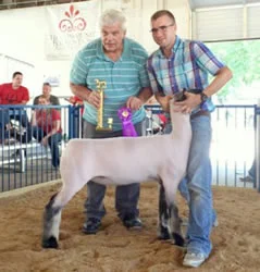 Grand Champion Market Lamb Hancock County Jackpot Shown by Jordan Beck Raised by Beck Family Sired by Blurred Lines