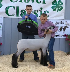 Grand Champion Ewe Clover Classic - Show B - MI Shown by Zach Tressler Raised by Hoeing/ Hill Sired by Boardwalk