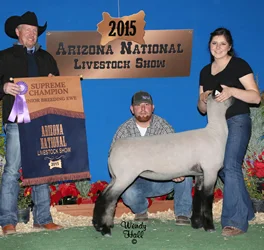 Supreme Champion Junior Breeding Ewe Champion Wether Dam Junior Show Arizona National Livestock Show Shown by Amy Hanks Raised by Nicewonger Club Lambs Sired by Grizz
