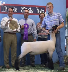 Grand Champion Market Lamb Illinois State Fair - Open Show Shown by Alec Myers Raised by Wiss Club Lambs Sired by Grizz