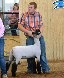 3rd Place Crossbred Ohio State Fair Open Show Shown by Lucas Tuck Raised by Beck Family Sired by Grizz