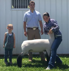Reserve Champion Commercial Ewe - Show B 3rd Overall Commercial Ewe - Show A Fayette County Jackpot - Indiana Shown by Emma Slick Raised by Hoeing/Hill Sired by Boardwalk