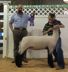 Grand Champion Ewe Rush County Jackpot - Indiana Shown by Logan Tressler Bred by Hoeing/Hill Sired by Blurred Lines