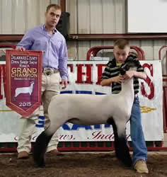 Grand Champion Ewe - Champion Commercial Delaware County Show A - Indiana Shown by Logan Tressler Bred by Hoeing/Hill Sired by Blurred Lines