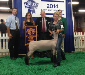 Reserve Grand Champion Kentucky State Fair Shown by Allison Breeze Raised by Northern Starr Livestock Sired by Diamond Eyes