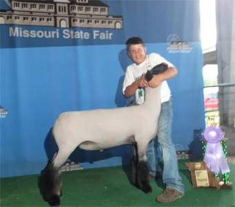 Reserve Grand Champion Missouri State Fair Raised by Beatty's Club Lambs Sired by Grizz