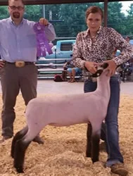 Multiple Time Jackpot Winner Virginia & Tennessee Shown by Blevins Family Raised by May Valley Sired by Diamond Eyes