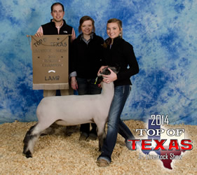Reserve Grand Champion Market Lamb Top of Texas - Jr. Livestock Show Shown by Brynn Owen Raised by Dee Brothers LLC Sired by Diamond Eyes