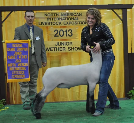 Reserve Champion Crossbred N.A.I.L.E. Shown by Samantha Raute Raised by Dee Brothers LLC Grizz x Marcantel 43