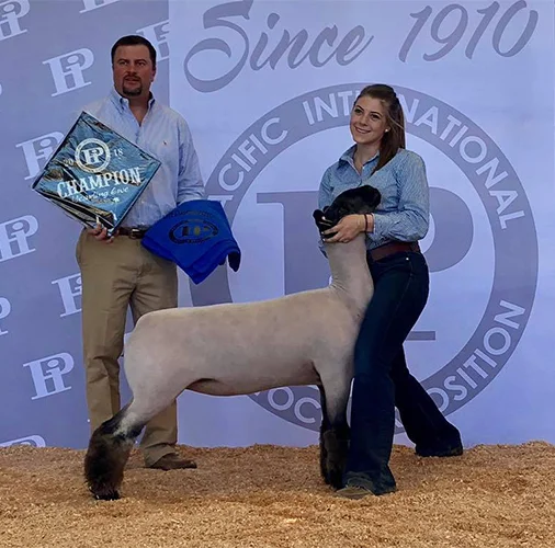 Reserve Grand Champion Ewe Pacific International Livestock Expo – OR Shown by Tessa Tomlinson Raised by Hagen VLS Club Lambs Sired by Boardwalk