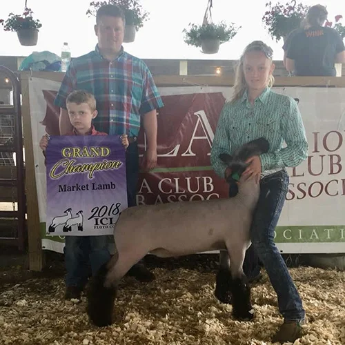 Grand Champion Market Lamb Floyd County Open Show – IA Raised by Brandon Erickson Sired by Rehab