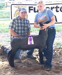 Reserve Champion Natural HYSLC Spring Kick-Off - IA Champion Natural HYSLC Breeders Futurity-IA Shown by Shelby Wachter Raised by Rocky Swearingen Sired by Sole Custody