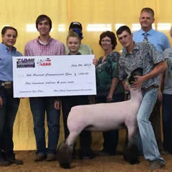5th Overall Commercial Ewe Ohio State Fair Shown by Garett Krasula Raised by Alan Cover Sired by Rehab