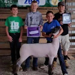 Grand Champion Breeding Ewe Floyd Co. Fair – IA Shown by Nick Williams Raised by Counsell Club Lambs Sired by Rehab