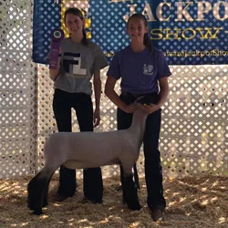 Champion Overall Market Lamb Kent County – PA Shown by McKenna Vest Raised by Dee Brothers Sired by Bearpaw