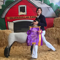 Supreme Champion Market Lamb Silver Dollar Fair – CA Shown by Lexi Vanella Raised by VLS Club Lambs Sired by Graffiti