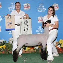 Supreme Champion Ewe CJLA Mid State Fair Shown by Tessa Tomlinson Raised by Hagen & Cummings Sired by Graffiti