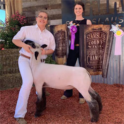Reserve Supreme Champion Lamb Stanislaus County Shown by Paige Vieira Raised by Beams Ranch Genetics Sired by Graffiti