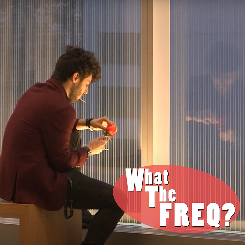 What the freq thumbnail.png