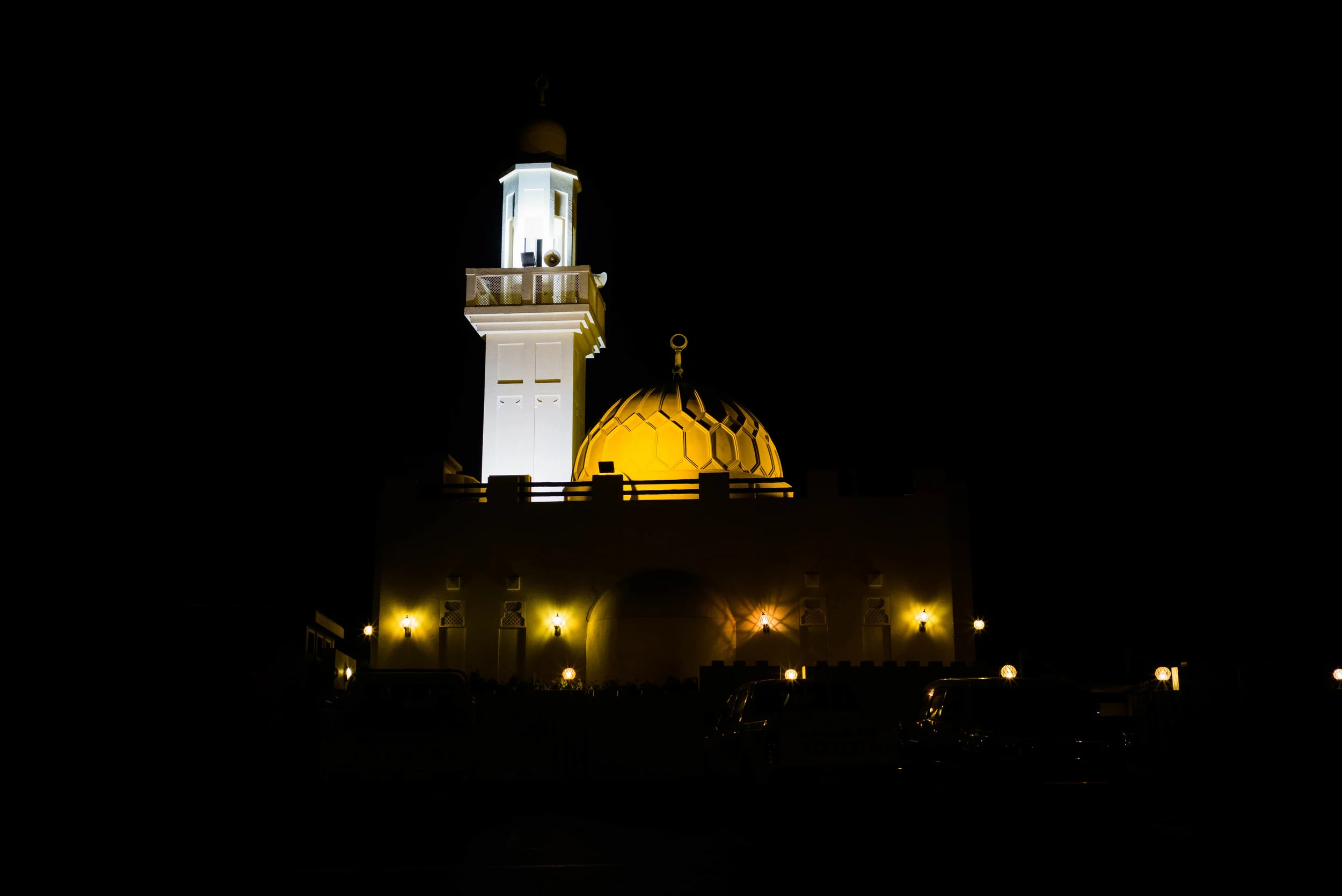 L1009908.jpg