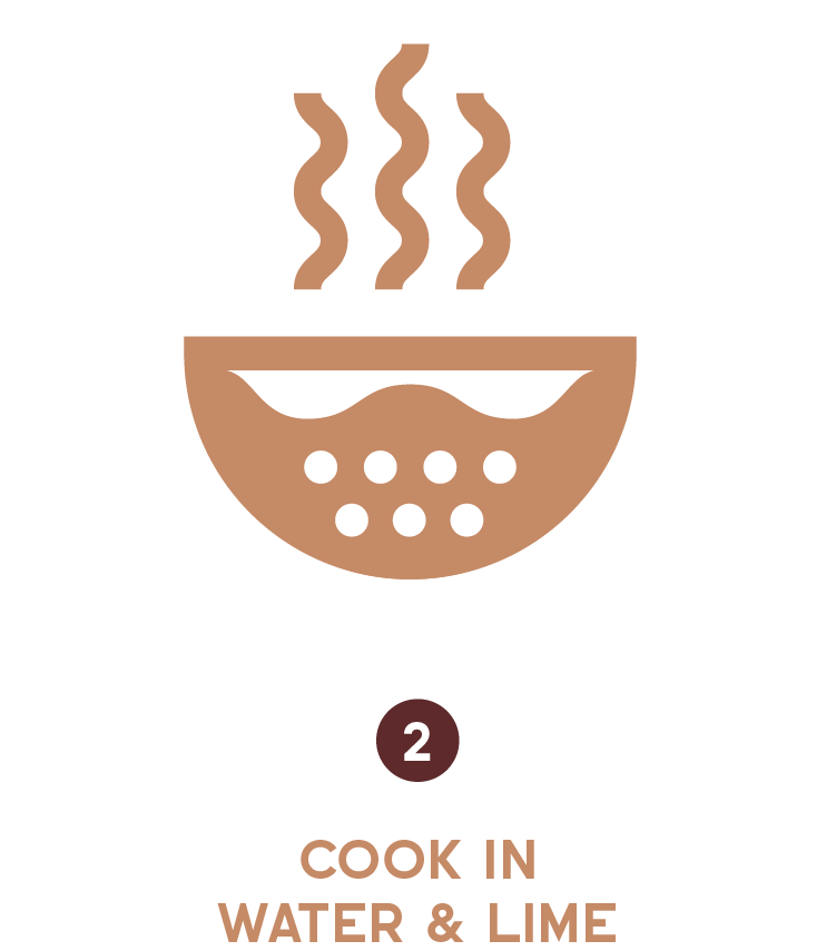 Yoli_Web_graphics-05-05.png