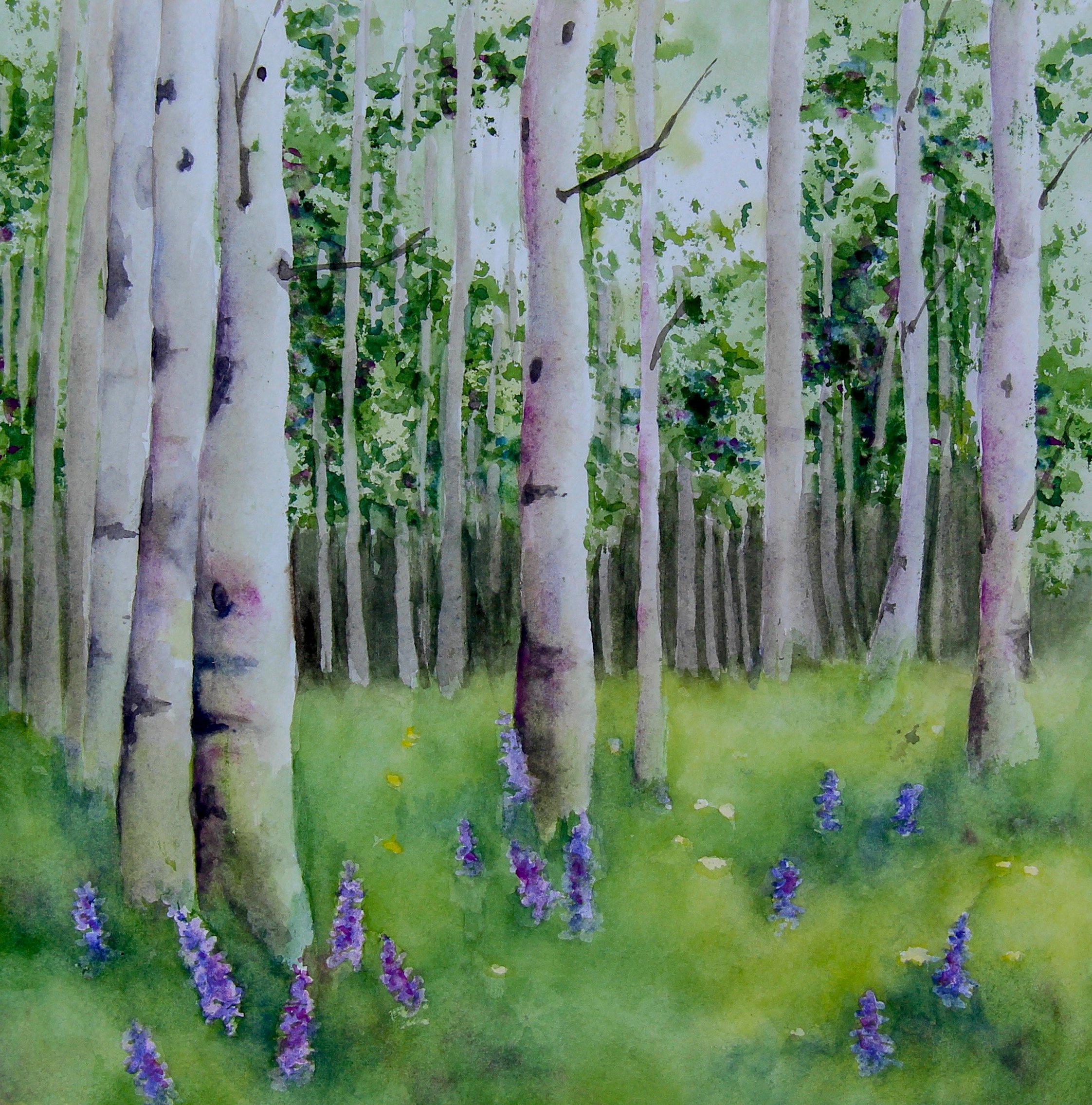 "Aspen and Lupine"