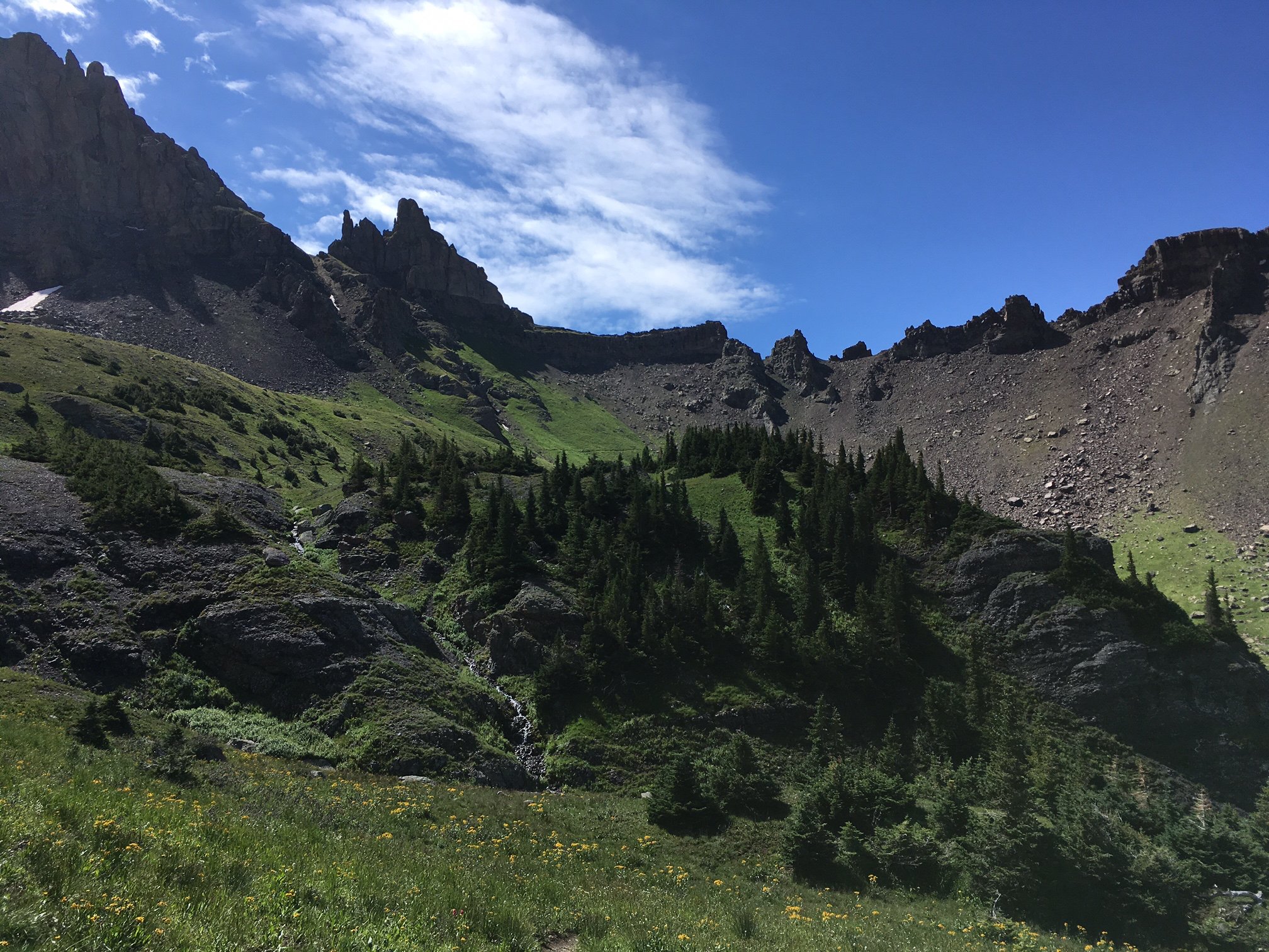 Wide Open Telluride