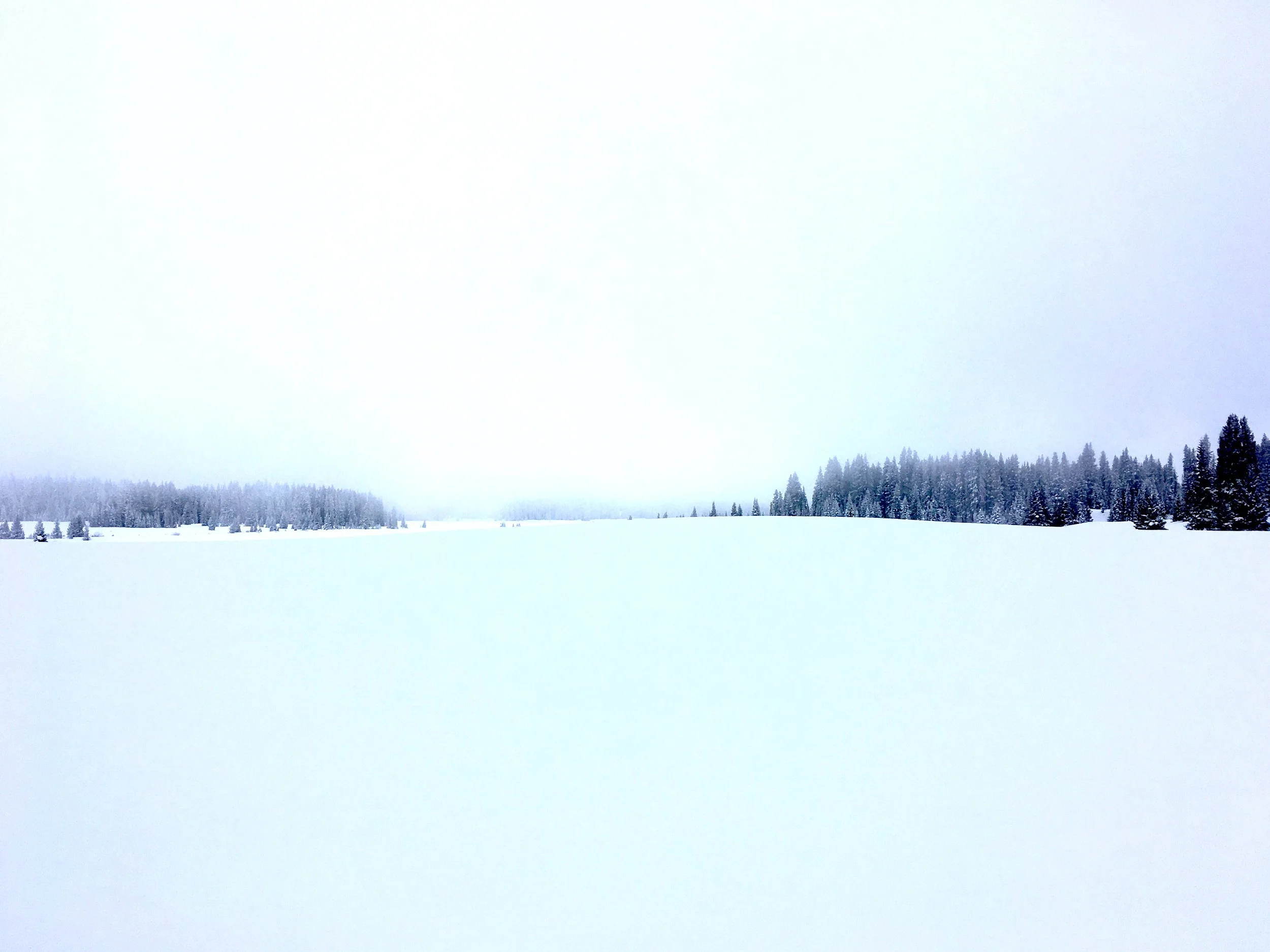 snow mesa white.jpeg