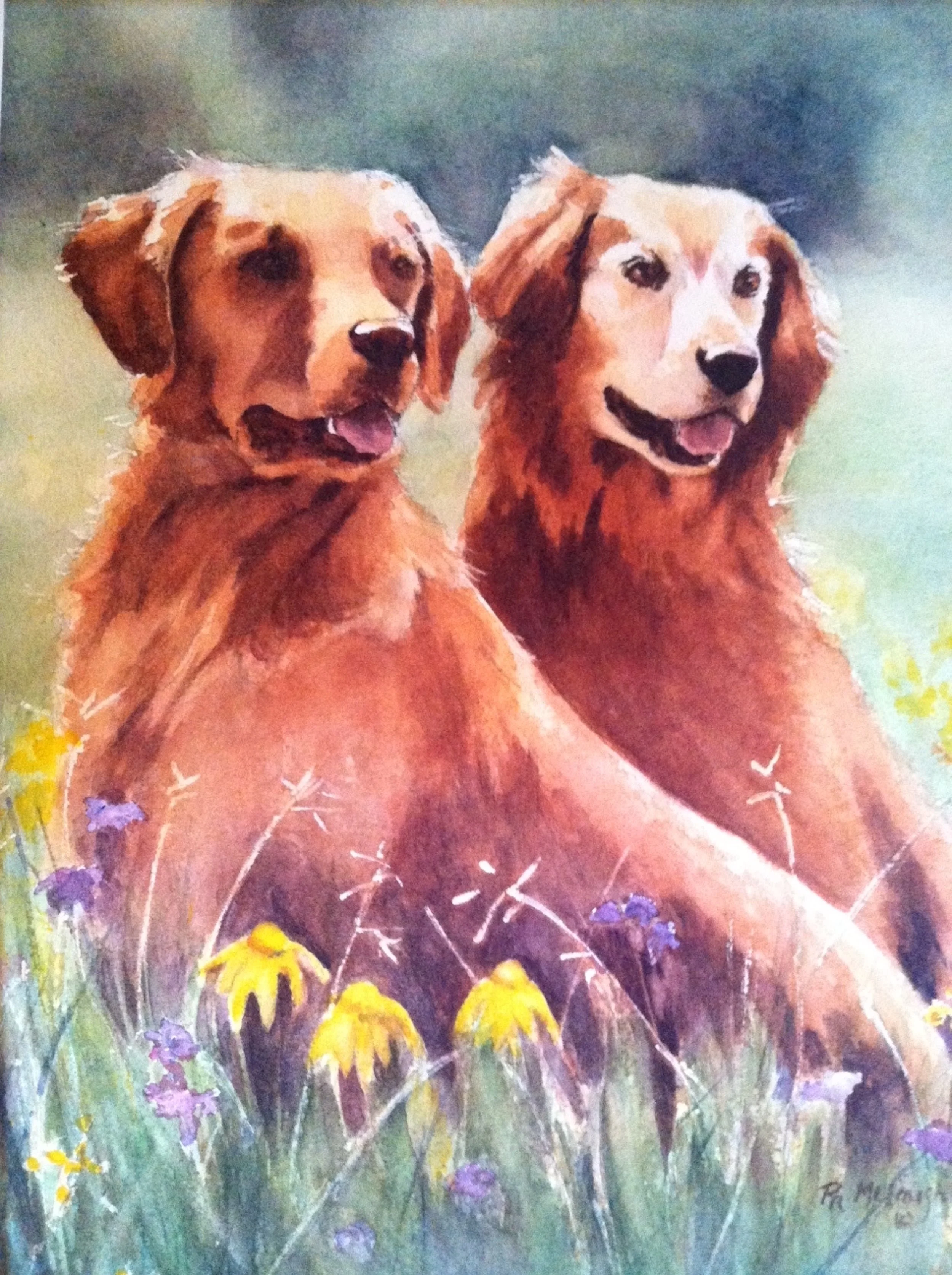 "Bob's Golden Girls"