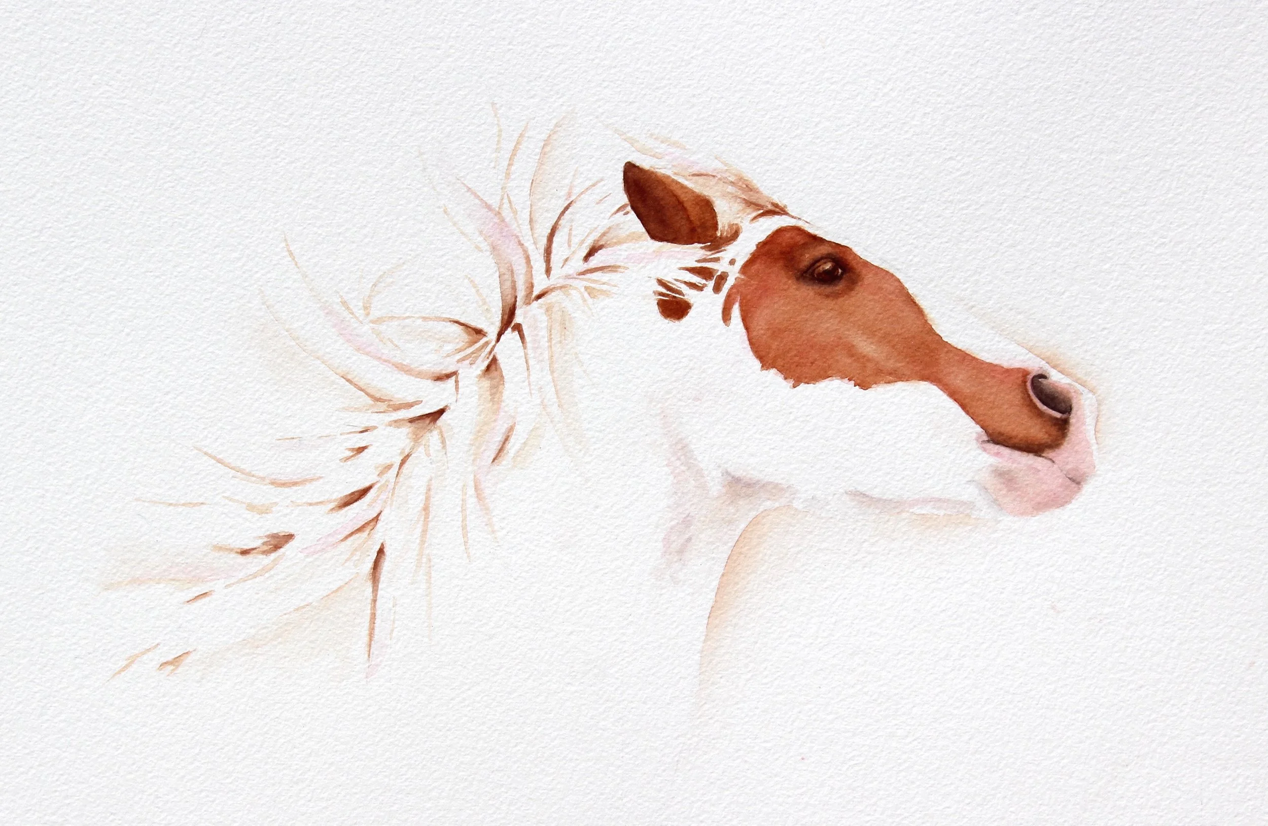 McLaughlinPam-Dani Glory1.JPG