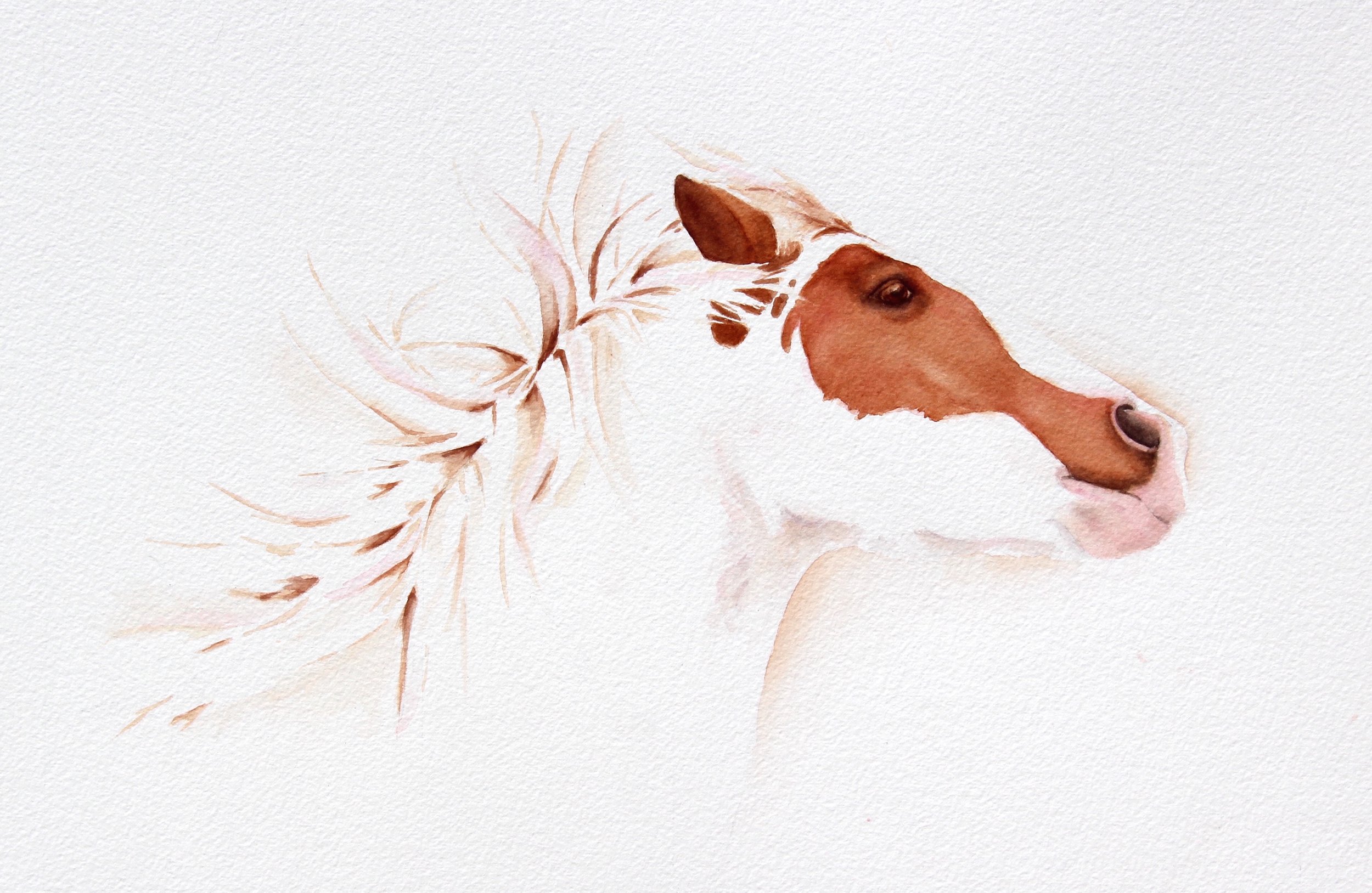 McLaughlinPam-Dani Glory1 copy.jpeg