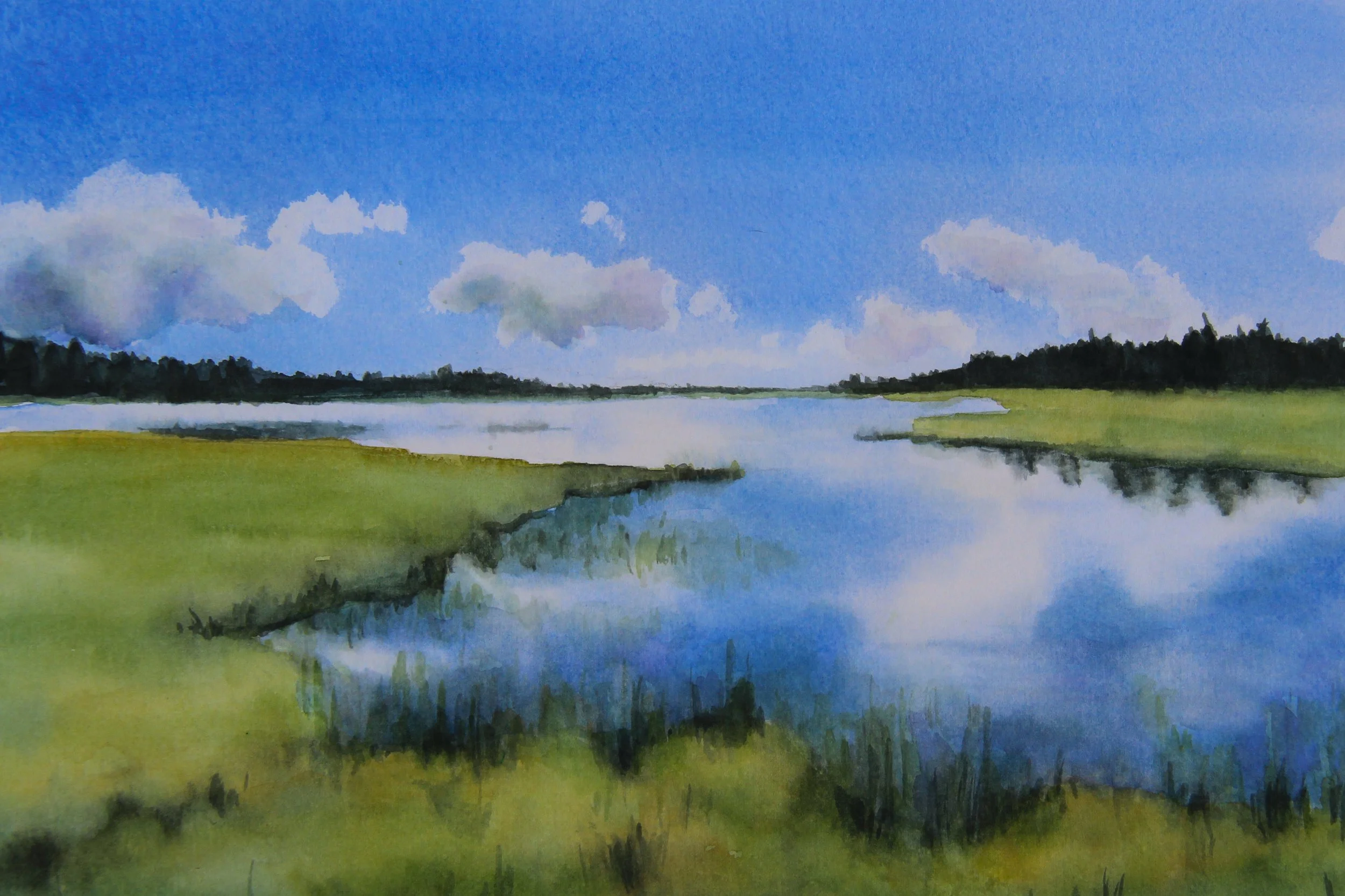 Atop Grand Mesa 2-2.jpg