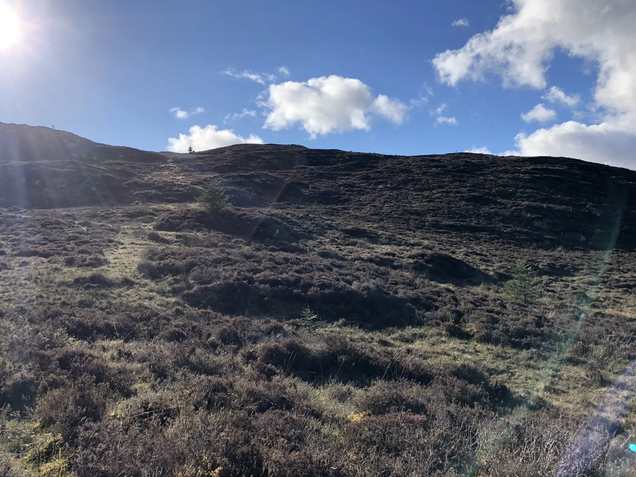 an Old pony track up to the Sealbhanaich by Allt an Lòin Uaignich (OS place name book - burn of the secret or lonesome morass)