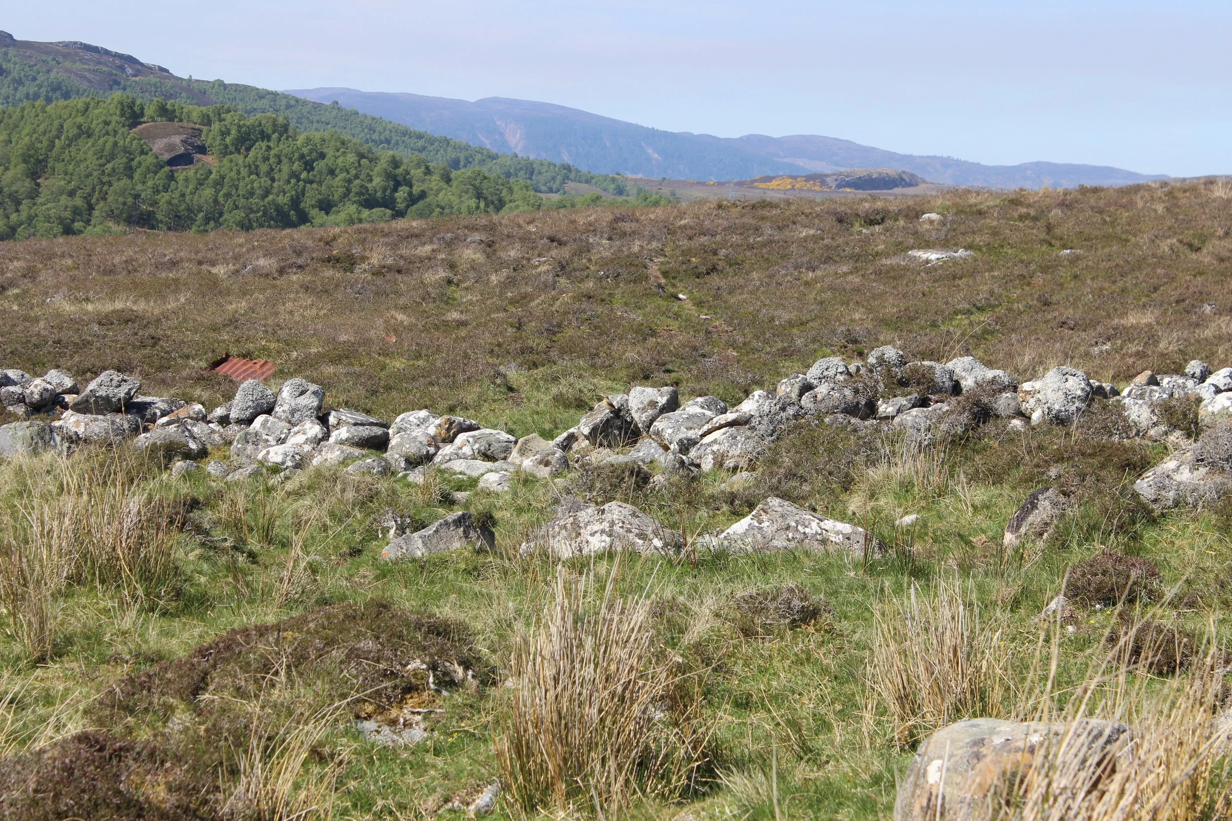 clacharan na shuidh air clach - an lorg thu e? / wheatear - can you spot it?