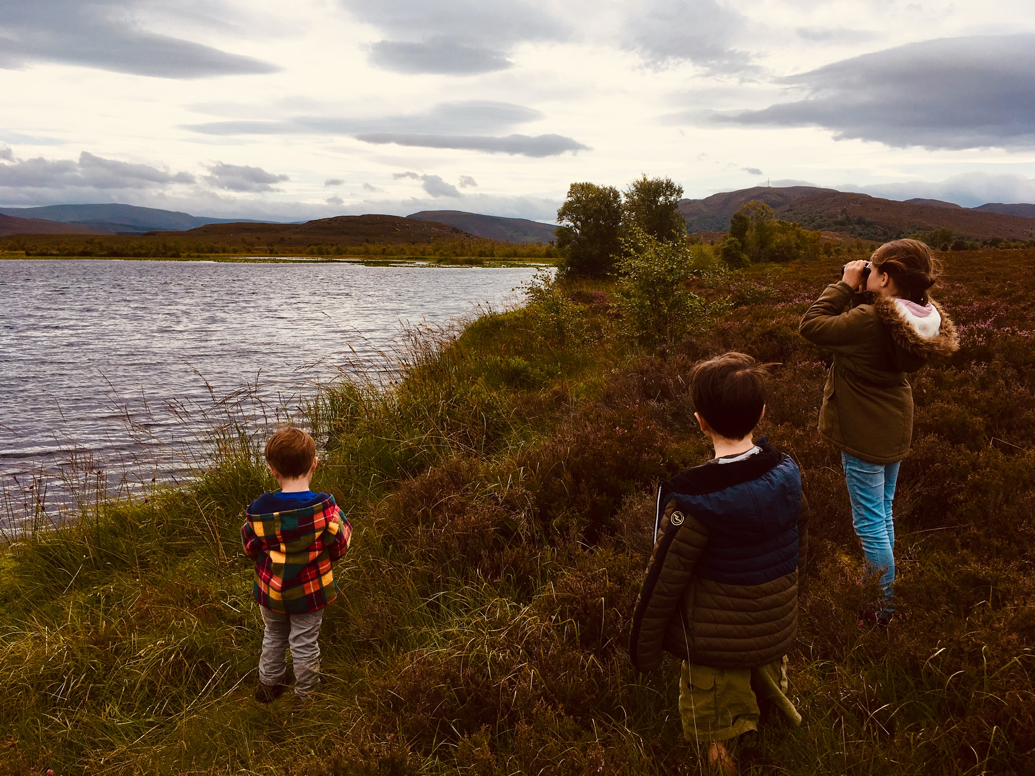 A’ lorg Learga-ruadh - looking for red throated divers . Chunnaic sinn 5 dhiubh agus chuala sinn am fuaim glugach. mise a th’anns a mheadhon.