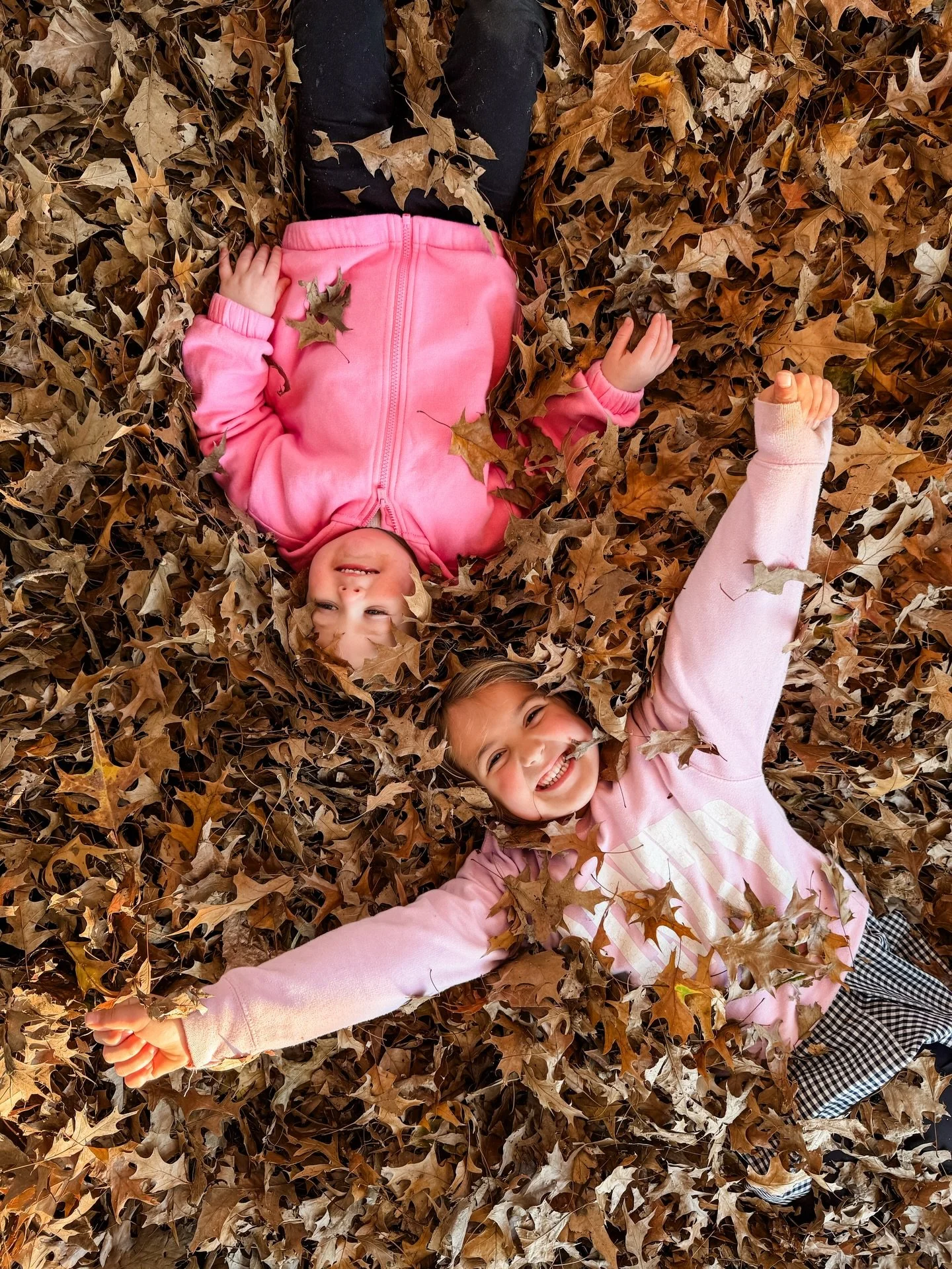 Final week of Fall 🍁🍂